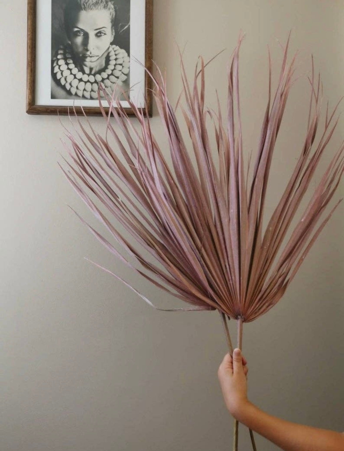 Pink palm